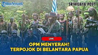 Download lagu 🔴 OPM Minta Ampun, Serdadu OPM Merengek! Terisolasi di Belantara hingga Ingin Pulang mp3