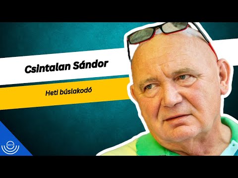 Pirkadat: Csintalan Sándor – Heti búslakodó