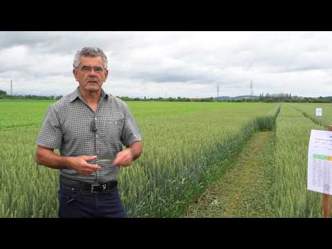 Feldtag Hargelsberg 2020: Jetzt geht´s los