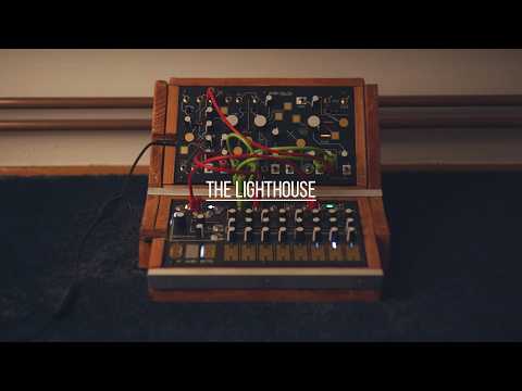 Immagine Make Noise Strega & 0-Ctrl - 2