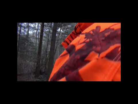 Drückjagd 2022 "Im Reh Glück!"