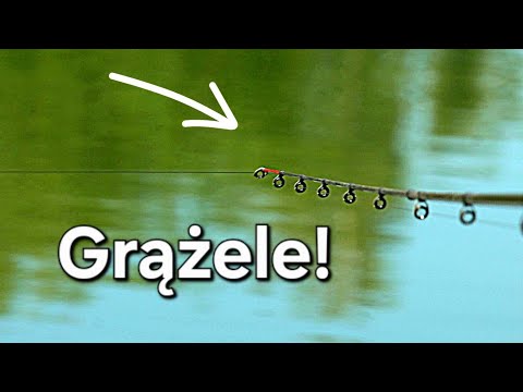 Ryby Wysypały się z Grążeli! Łowienie w Zatoce! Wędkarstwo Method Feeder!