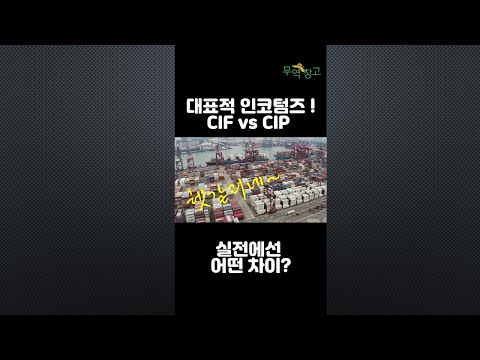 헷갈리지만 자주 쓰이는 CIF vs CIP ! 실전에서는 이렇게 다르다?  #shorts