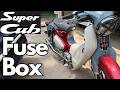 Honda Super Cub C125 Fuse Box How To