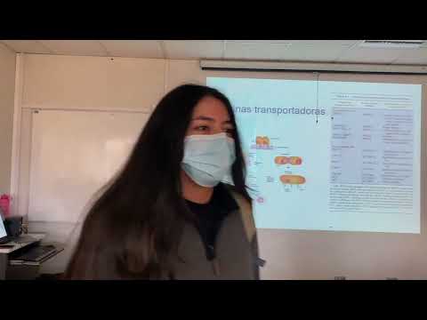 Fármaco: 25.03.22 - Parte 1