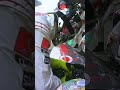 Rare Steering Wheel Change in F1 Pitstop ? #shorts