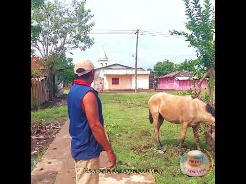 Palenquito Pinillos Rio Chicagua