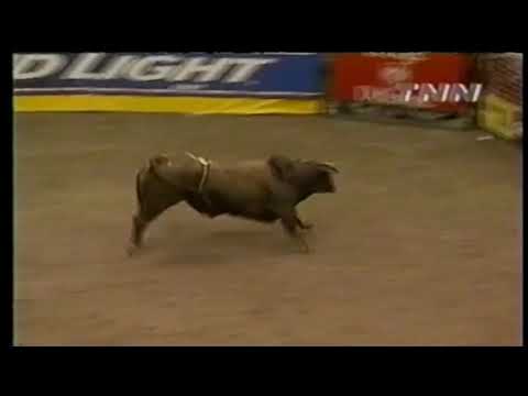 Unforgiven bucks Chris Shivers - 00 PBR Salt Lake City