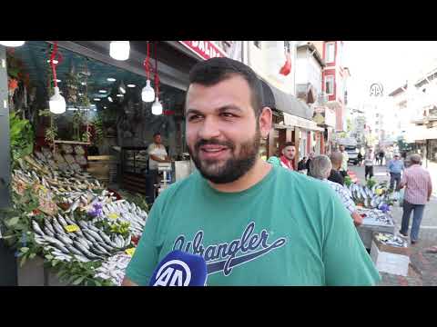 Balık pazarındaki tezgahlarda palamut bolluğu yaşanıyor