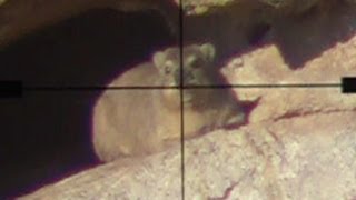 Slo mo Dassie shooting in Namibia (to learn about bullet drop)
