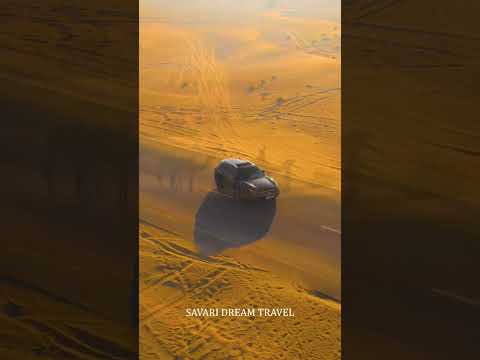 #Desert travel #travel #camel ride #dubai