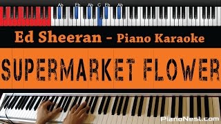 Ed Sheeran - Supermarket Flower - HIGHER Key (Piano Karaoke / Sing Along)