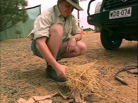 Ray Mears' Extreme Survival  S02E03 - Outback Survival