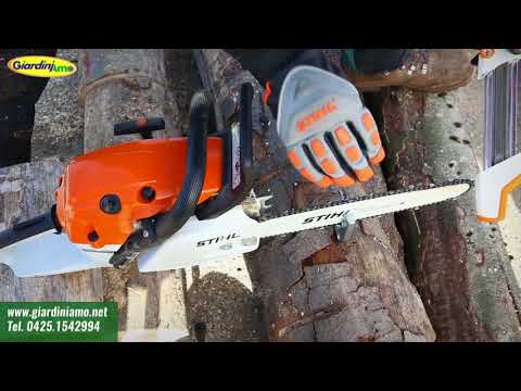Miniatura Video
