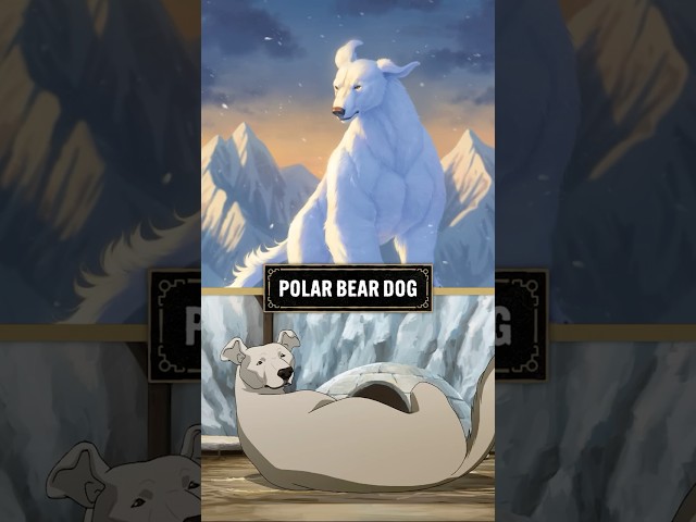 Vídeo relacionado con Beasts of the Four Nations: Creatures from Avatar: The Last Airbender and The Legend of Korra