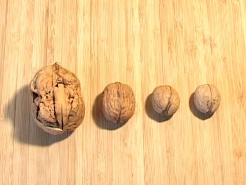 Luxation des Hüftgelenkes Bandriss Schultergelenke Schmerzen wie sie behandeln