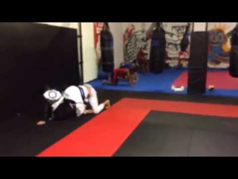 Fightzone Girls training