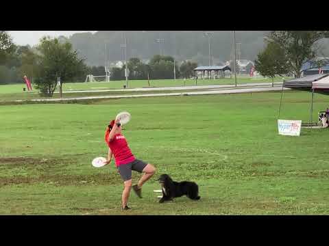 Muse & Kirby - Skyhoundz DiscDogathon Freestyle World Championship