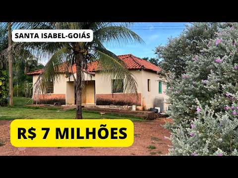 Fazenda Produtiva à Venda por R$ 7.140.000,00 em Santa Isabel no Goiás