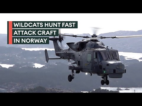 Royal Navy Wildcats in action with phantom of the fjords corvettes