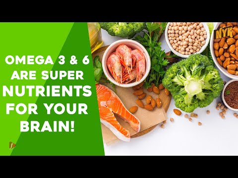 How the Food You Eat Affects Your Brain?