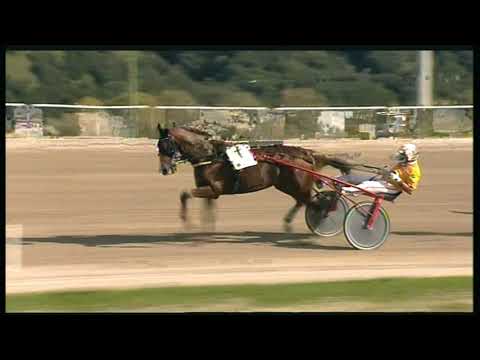 Trotto 25/10/2020 - 3ª corsa - G.P. Lotteria 2ª batteria