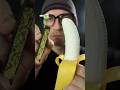 Which Food Is Fake Asmr
