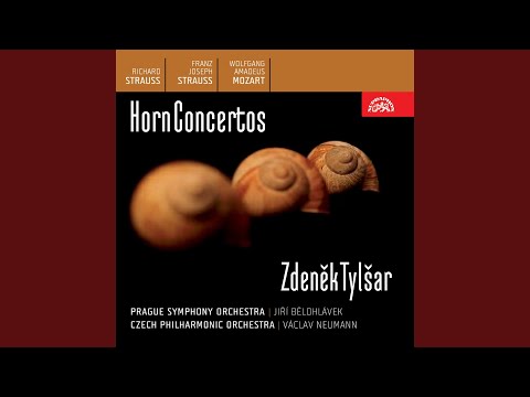 Concerto for Horn and Orchestra in C minor, Op. 8 - Allegro moderato /att./