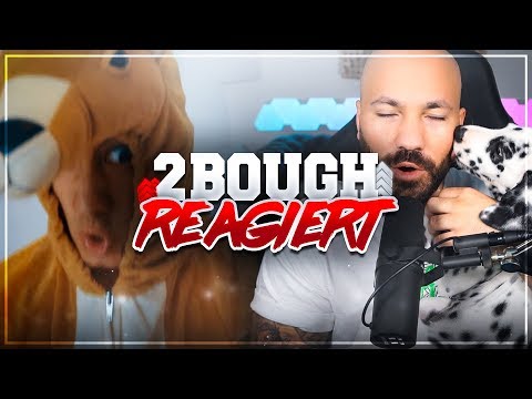 2Bough REAGIERT: Julien Bam - Was TIERE RAPPEN würden