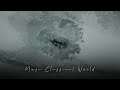 Francis Lai, Christian Gaubert - La leçon particulière #trending #tiktok