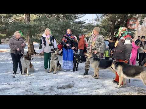 🐕 Четвероногий марафон: в Уссурийске разыграли «Кубок ректора»