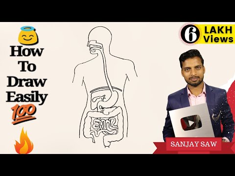 How to Draw Human Digestive System step by step for Beginners ! Video