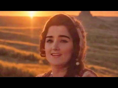 𝑬𝑴𝑰𝑵𝑨 𝒁𝑬𝑪̌𝑨𝑱 ___ 𝑶𝒋, 𝑴𝒆đ𝒊𝒄𝒆, 𝑴𝒆đ𝒊𝒄𝒆