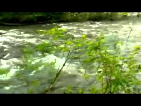 The River - Helen Glavin