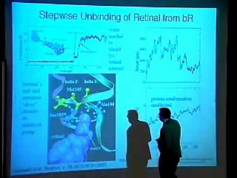 TCBG Summer School 2003: Steered Molecular Dynamics of Proteins - Introduction and Examples