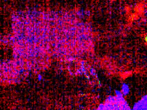 E|N - Halloween 2010 Filipa Baptista