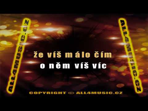 KJ0992 ZAGOROVÁ HANA-Vím málo (Karaoke verze)