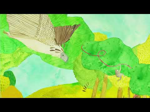 An Eagle’s Feather, an animation about the mighty Philippine Eagle