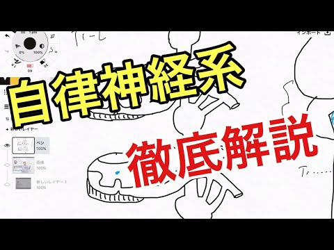 神経について詳しく解説