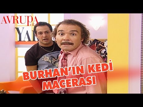 Burhan'ın Kedi Macerası - Avrupa Yakası