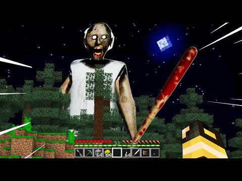 HO INCONTRATO GRANNY NEL MIO MONDO DI MINECRAFT!!