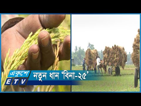 নকল মিনিকেটের দিন শেষ | ETV News