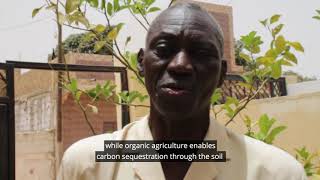 Meet Ibrahima, an organic farmer from Senegal 🇸🇳
