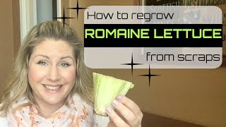 Regrow Lettuce from Scraps FAST!!!