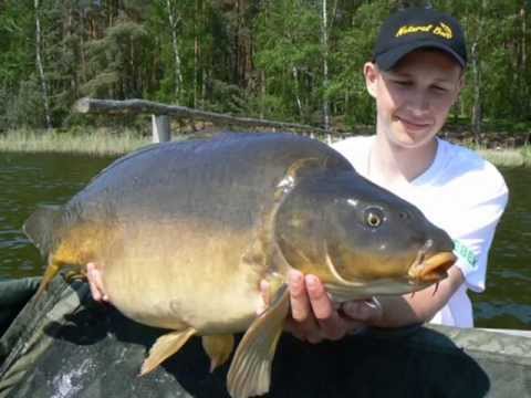 Tuszynek - Carp Team Trójmiasto