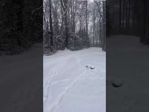 Savoring so intimately, every moment of experience, is reverence to the divine that you are!