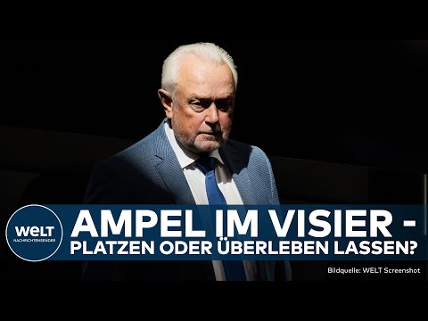 EUROPAWAHL 2024: Wolfgang Kubicki kritisiert Koalitionspartner und fordert härtere FDP-Linie