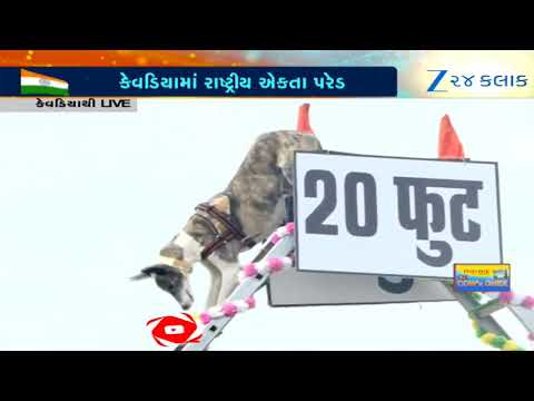 Gujarat: Trained Indian breed dogs of BSF showcase bravery at Unity Day Parade in Narmada