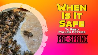 When Is It Safe To Feed Pollen Patties (Pre-Spring)