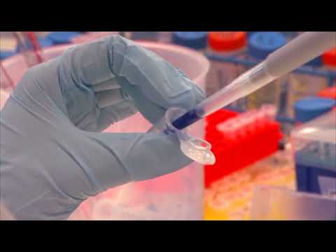 NYC Legionnaires Disease Latest